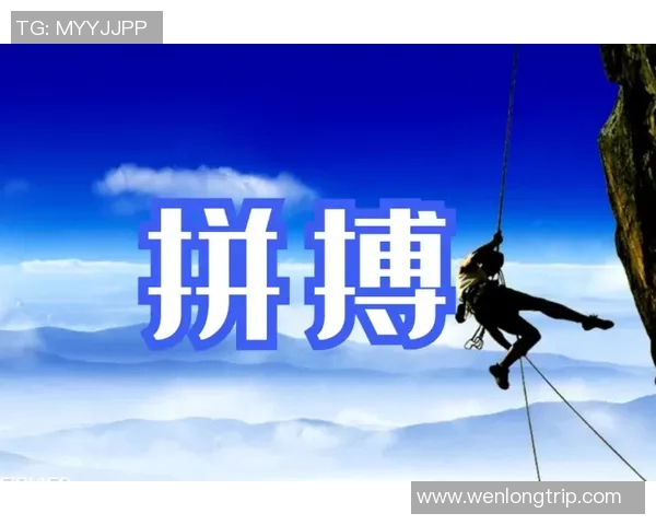 深圳排球队的拼搏历程与荣耀时刻全景回顾