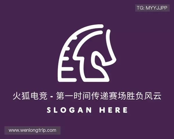 关于火狐电竞